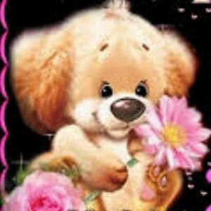 Meet your Posher, Aida